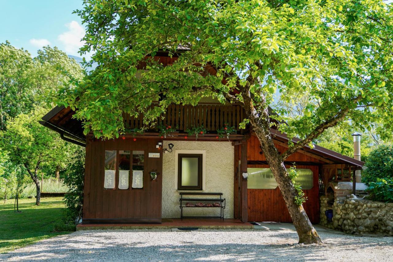 Holiday House Zeleni Gaj ボヴェツ エクステリア 写真