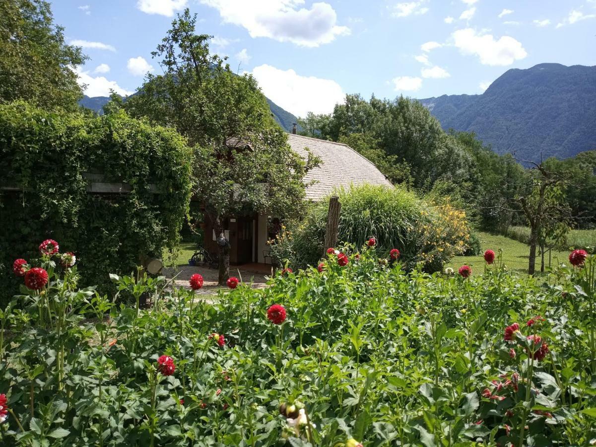 Holiday House Zeleni Gaj ボヴェツ エクステリア 写真